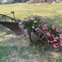 Antico aratro  Melotti uso fioriera