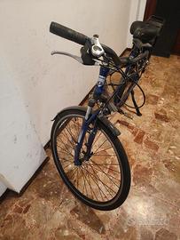 Bici elettrica