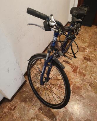 Bici elettrica
