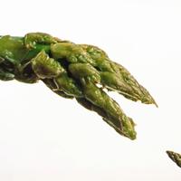 cartolina d'arte Armando Testa - 1990