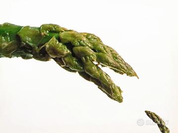 cartolina d'arte Armando Testa - 1990