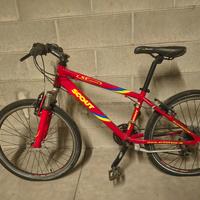 MTB SCOUT 24