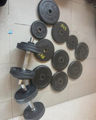 Dischi pesi palestra pizze