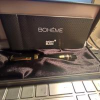 Penna stilografica Mont Blanc