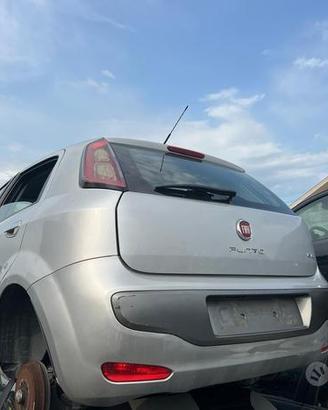 Punto evo anno dal 2009 al 2018