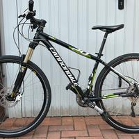 Bicicletta Cannondale Trail SL1 29”