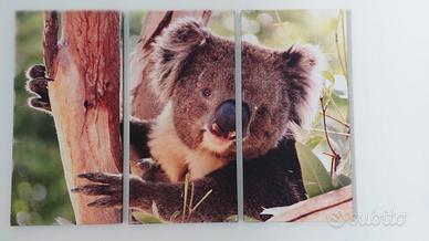 Stampa su tela - motivo Koala