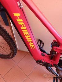 bici elettrica haibike 