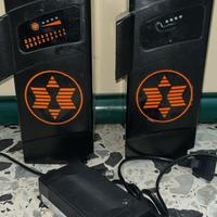 coppia di batterie per bici elettrica.