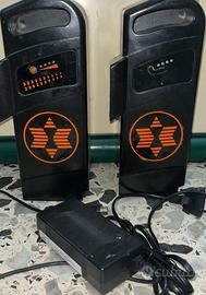 coppia di batterie per bici elettrica.