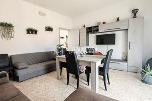 Grazioso bilocale in buono stato