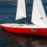 Barche a vela