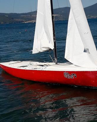 Barche a vela