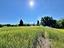 Immagine 9