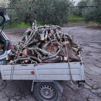 legna d ulivo per forno a legna caminetto pizzeri 