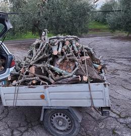 legna d ulivo per forno a legna caminetto pizzeri 