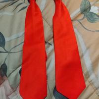 cravatte rosse 2pezzi