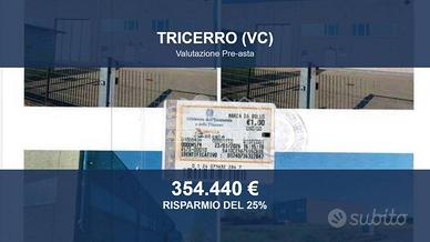 Immobile in asta di 1119 m² a Tricerro