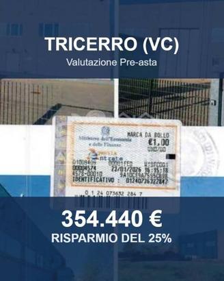 Immobile in asta di 1119 m² a Tricerro