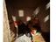 Immagine 13