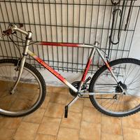 Bicicletta mountain bike