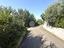 Immagine 12