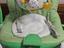 Immagine 2