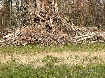 Legna da ardere (almeno 5 quintali)