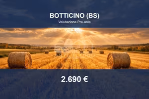 Immobile in asta di 4020 m² a Botticino