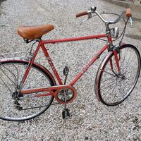 Bici city bike Rosani - Sella e manopole nuove