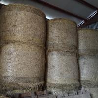 fieno prato di collina