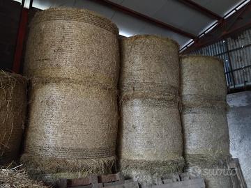 fieno prato di collina