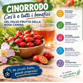 Alimentare