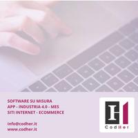 Software su misura, mes, erp