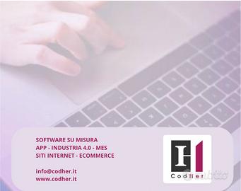 Software su misura, mes, erp