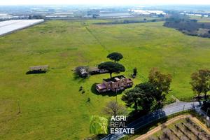 Terreno agricolo 51 HA con 4.000 mq di fabbricati