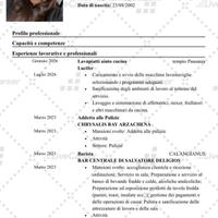 Lavapiatti-cameriera