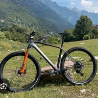 Ribot N  Full XT  29' 
