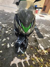 Kawasaki J 300