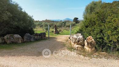 Terreno - Tottubella