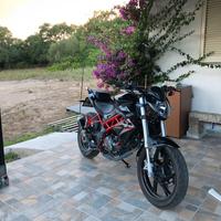 Benelli bn 125
