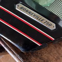 Fianchetti triumph t140