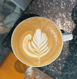 Barista cameriera