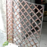 griglia piante rampicanti 