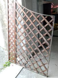 griglia piante rampicanti 