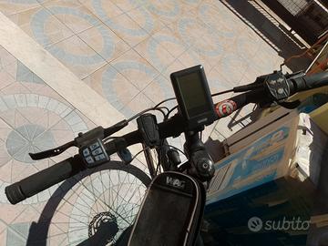 bici pedalata assistita 