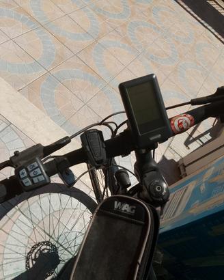 bici pedalata assistita 
