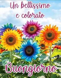 Badante fvg