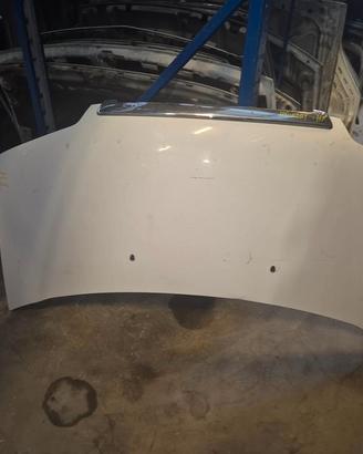 Cofano Motore Anteriore Per Hyundai H1 - H100 2003