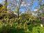 Immagine 26